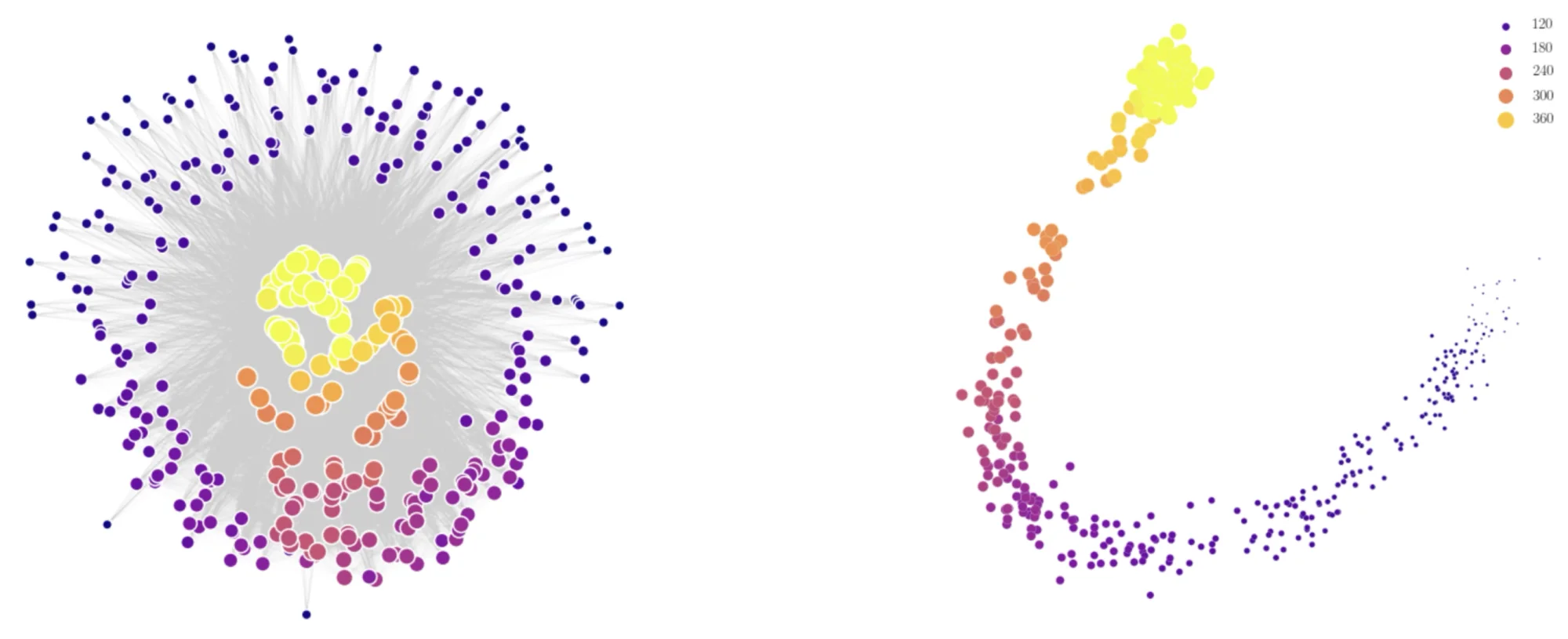 DeepWalk embedding colored by degree: high-degree nodes pulled to the core, low-degree to the rim, forming a degree gradient